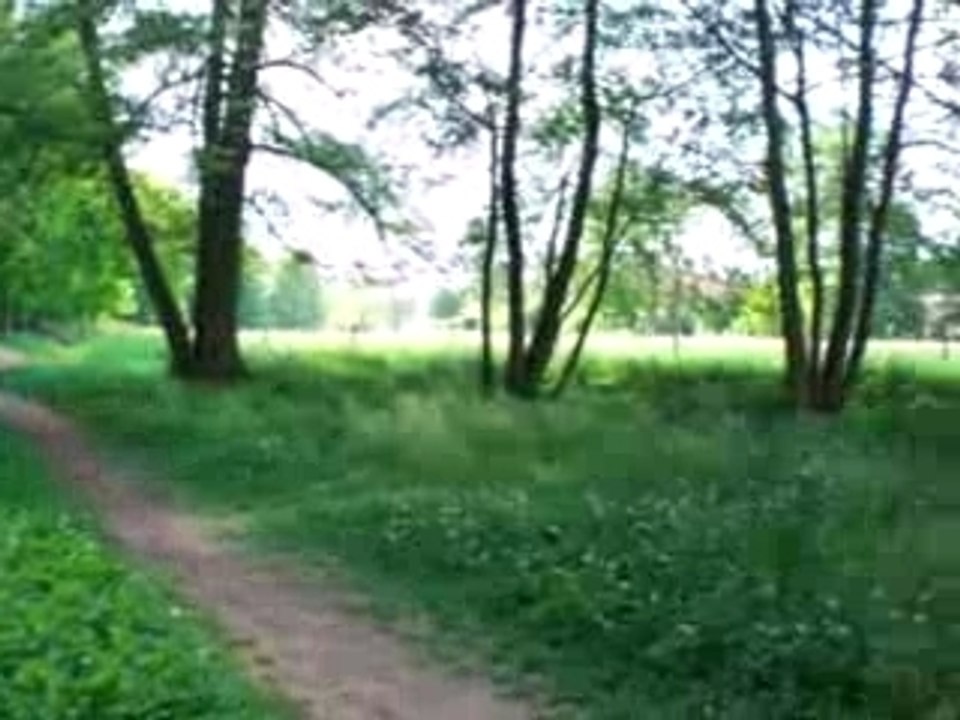 Roanne rivière renaison coin tranquille nouveau velo