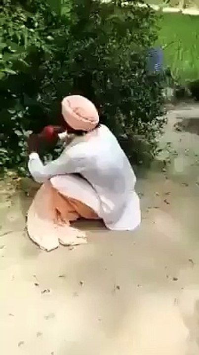 Snake Catcher