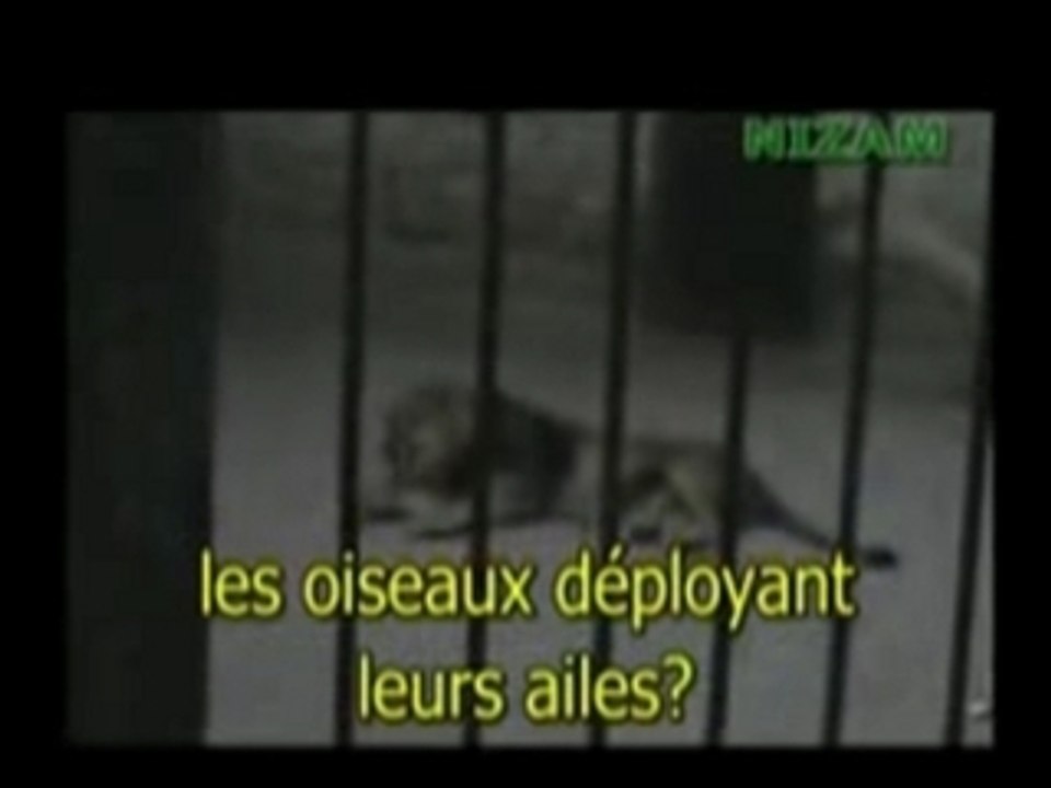 Les signes d allah