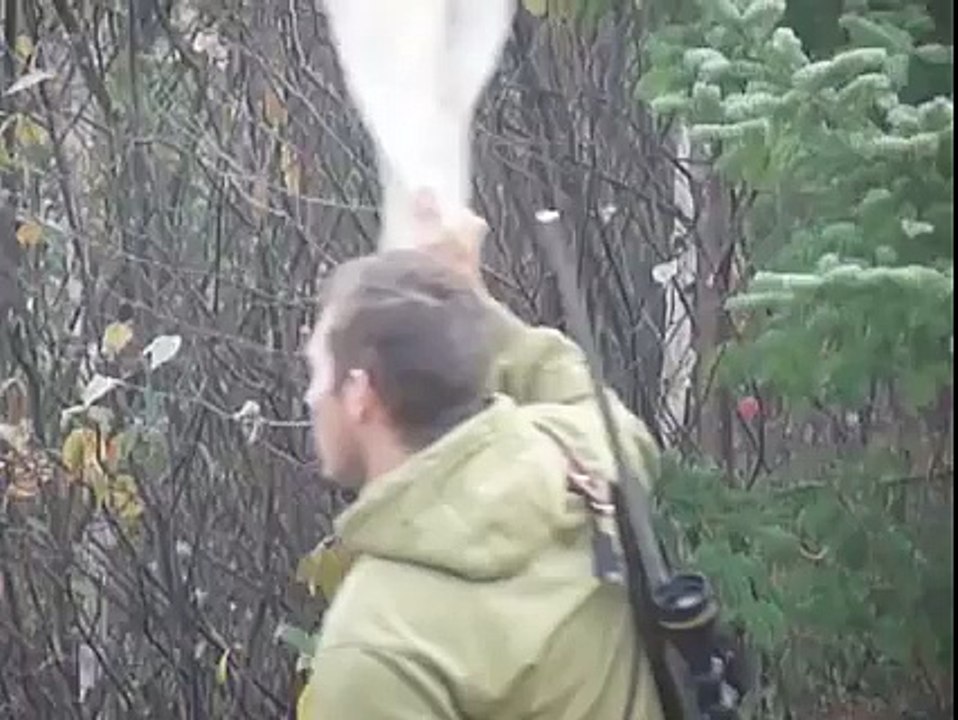Redneck charge by a moose !!!