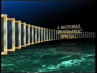 Orki - mądre i drapieżne - film dokumentalny