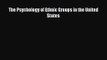 Read The Psychology of Ethnic Groups in the United States PDF Online