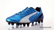 PUMA evoSPEED 1.3 75224