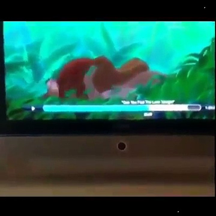 Funny with animal - 2016
