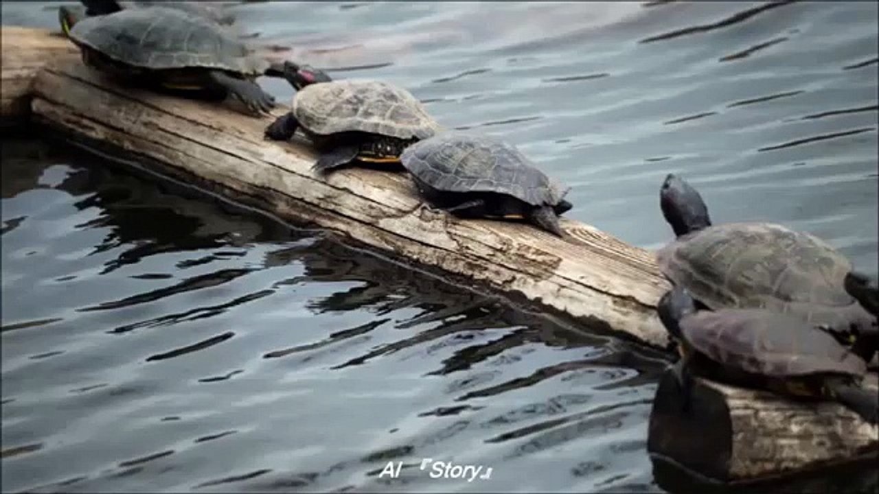 邦楽 90年代 〜 2000年代 ランキング 懐メロ 名曲 メドレー 作業用