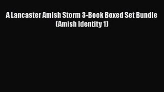 A Lancaster Amish Storm 3-Book Boxed Set Bundle (Amish Identity 1) [Read] Online