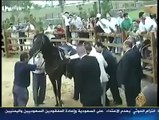 اردوغان يسقط من فوق حصان