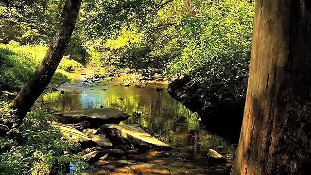 Solar-Powered Well Pumps Could Save Money For Farmers -