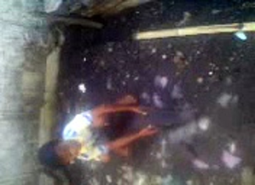 buaya aneh hahah