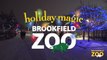Brookfield Zoo Holiday Magic 2013