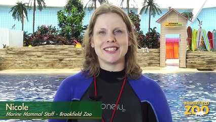 Brookfield Zoo's Seven Seas Staff Part 3
