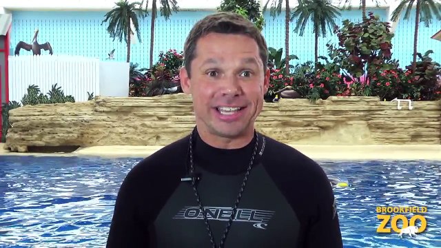 Brookfield Zoo's Seven Seas Staff Part 4 - Mark and Magic