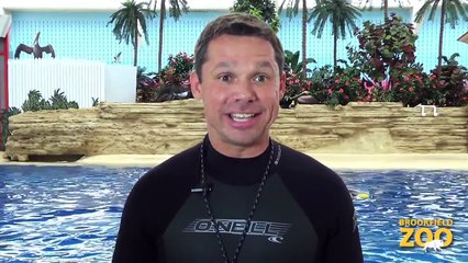 Brookfield Zoo's Seven Seas Staff Part 4 - Mark and Magic