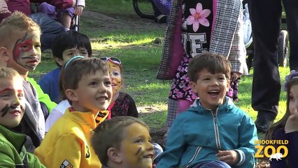 Brookfield Zoo's Summer Nights