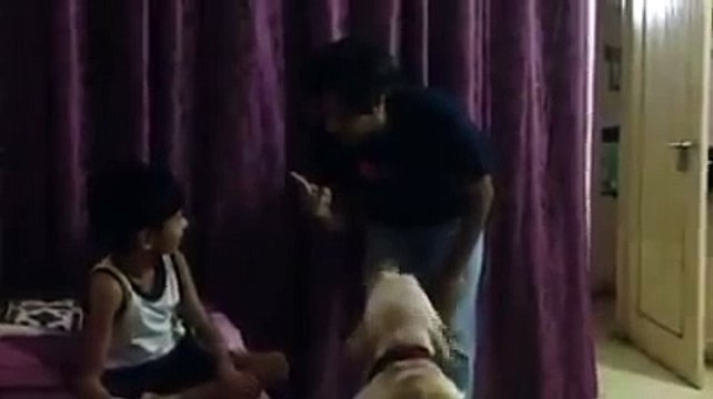 কুকুরের বিবেক দেখে আপনি সত্যিই অবাক হয়ে যাবেন