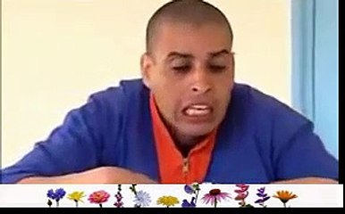 comedy tamazight maroc