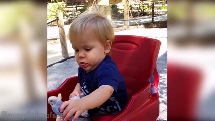 Funniest Animal Fails Compilation || FailArmy