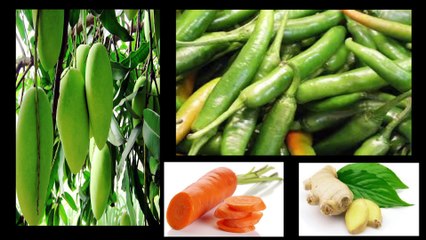 Pickle Production