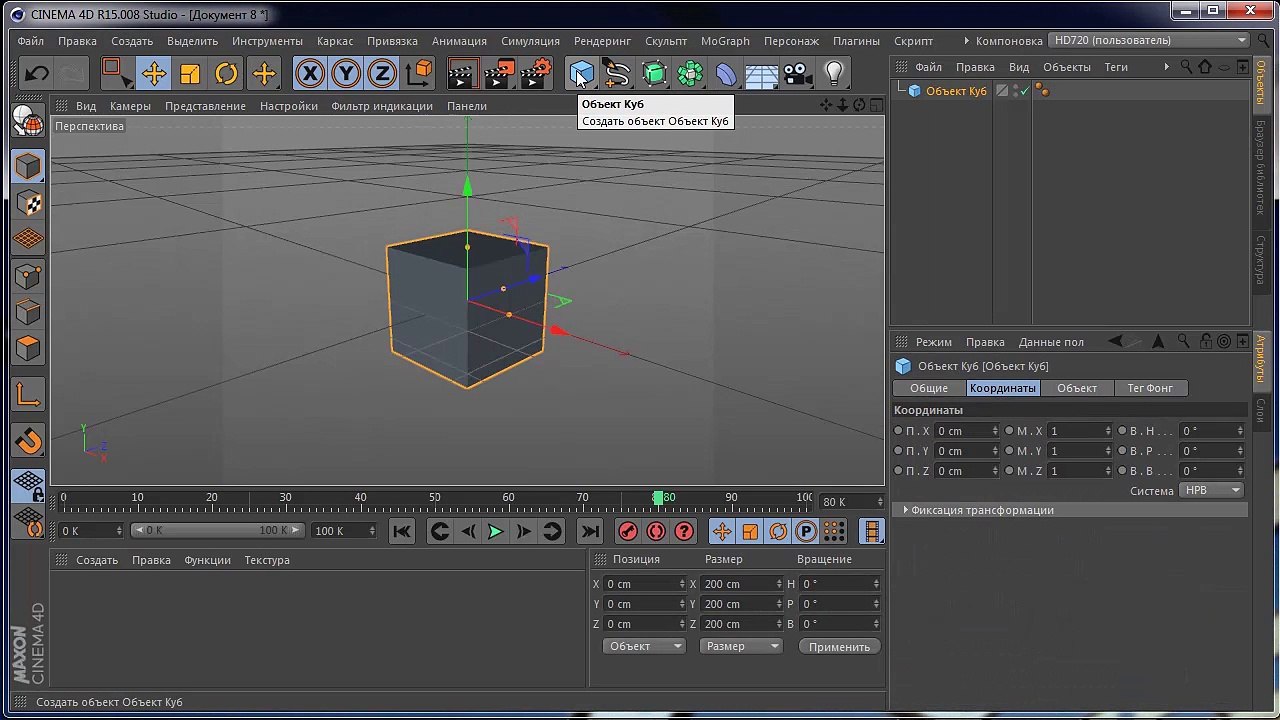 C4D09