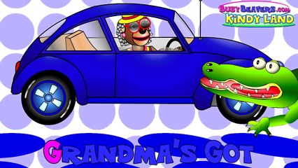 Grandmas Got a Little Yellow Car - Kindergarten Preschool Kids Learn Colors