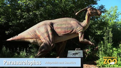 Would You Rather  Episode 2  Parasaurolophus vs. Pachycephalosaurus