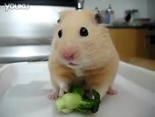 Suddenly remembered something!