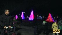 Holiday Magic at Brookfield Zoo