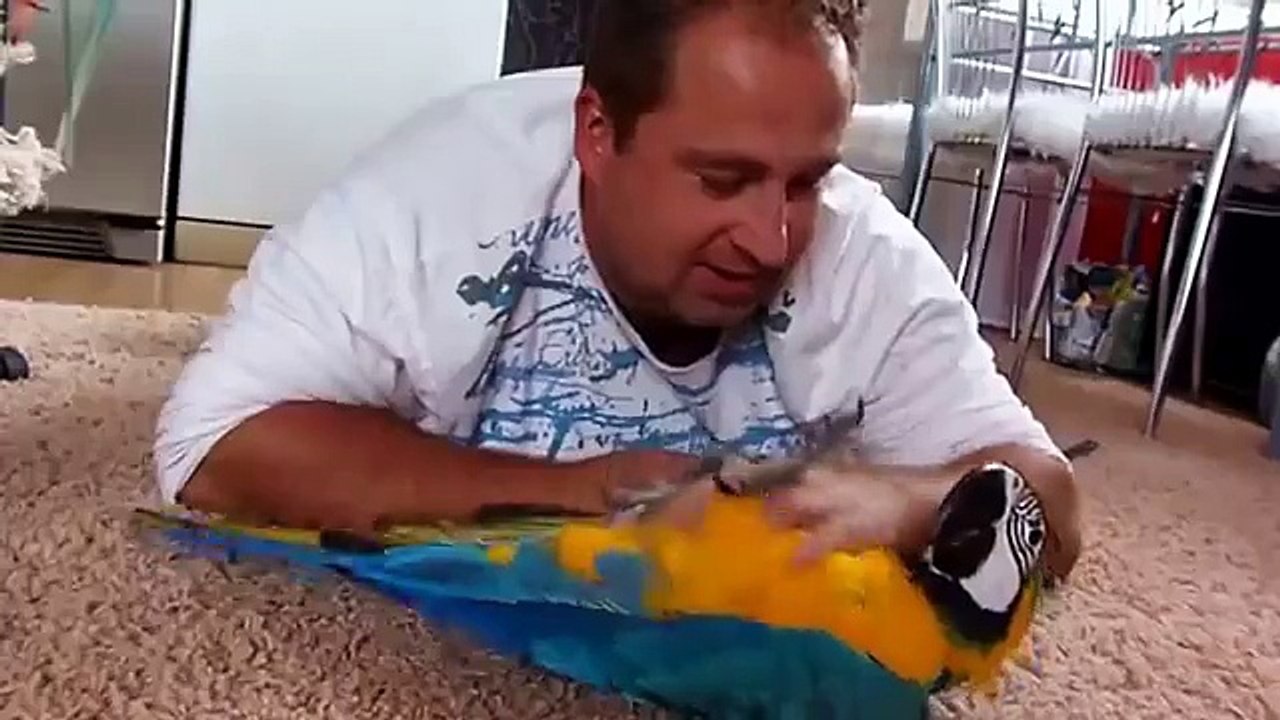 Um homem com seu amigo emplumado