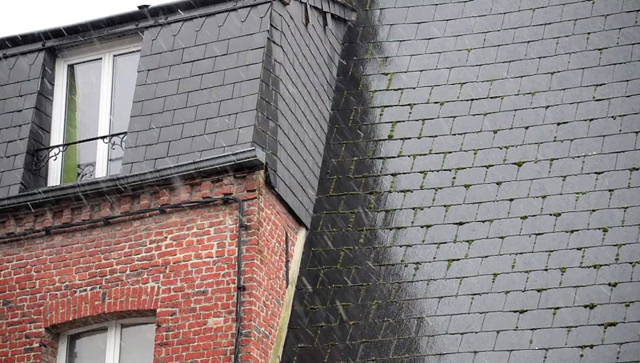 Premières neiges dans l'Avesnois