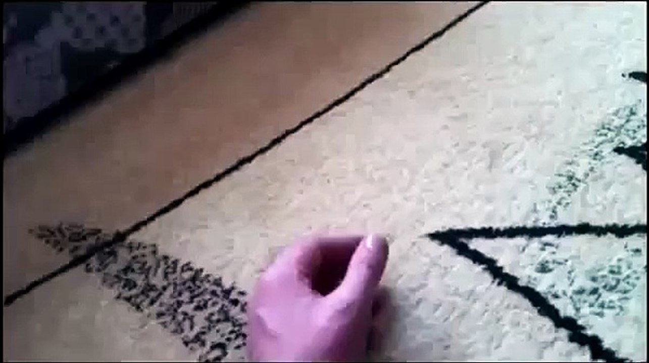 Малыш фенек