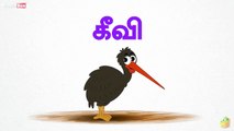 Kiwi (கீவி) - Birds (பறவைகள்) - Learn Tamil Spelling (தமிழ��