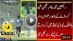 Muhammad Amir is Bowling Very Fast in New Zealand - Video Dailymotion