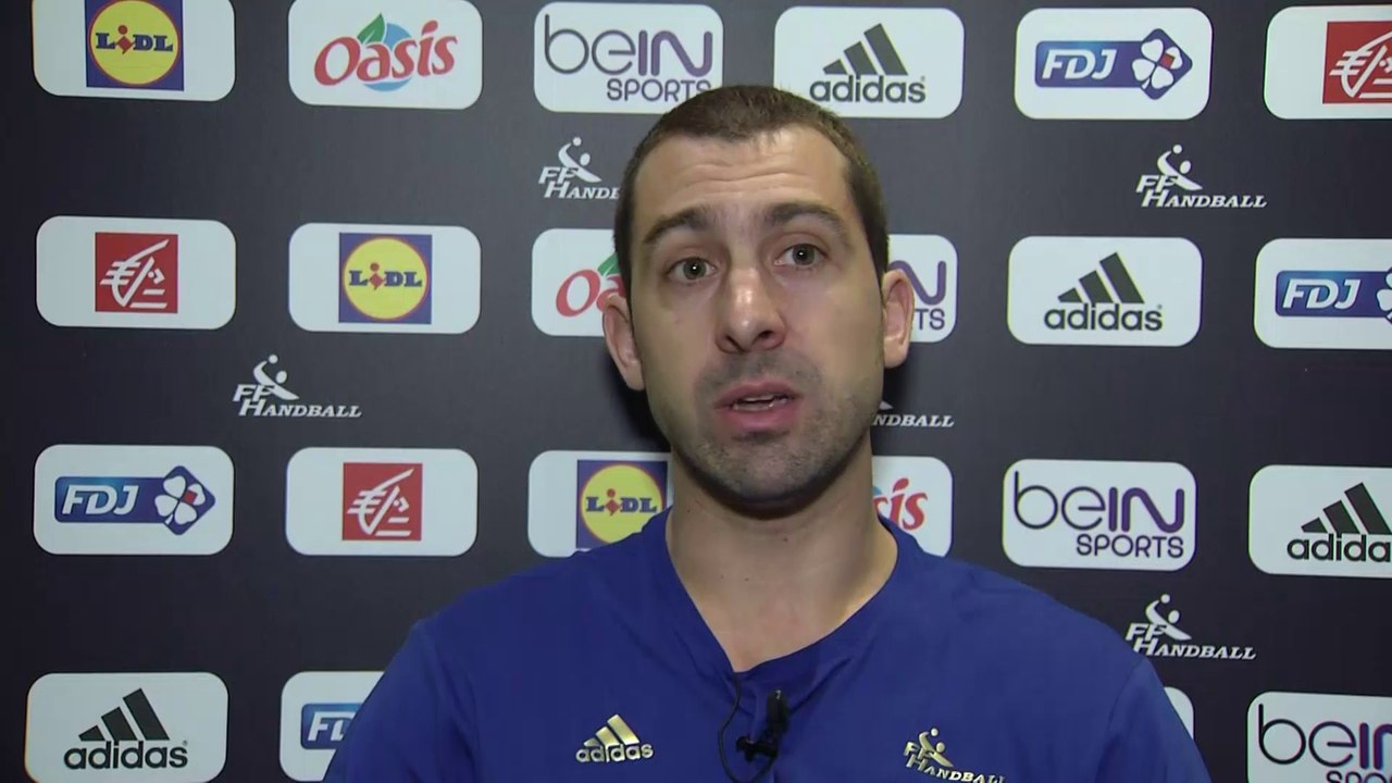 Handball - Euro (H) - Bleus : Guigou «On se transcende»