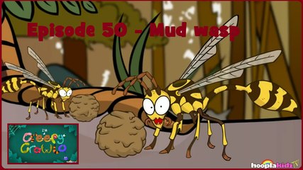 I'm a Creepy Crawly - Episode 50 - Mud wasp