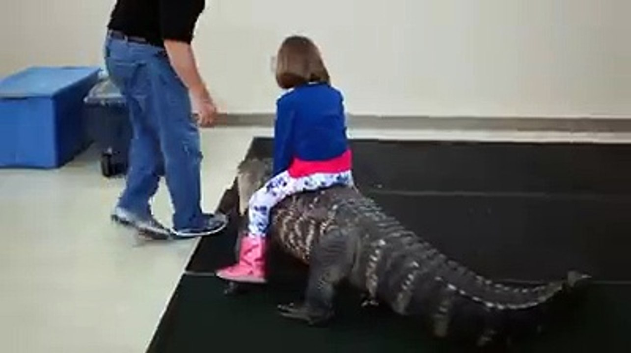 funny clips-funniest videos-best funny-funny site-short clips-comedy clips