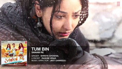 TUM BIN Full Song (AUDIO) - SANAM RE - Pulkit Samrat, Yami Gautam, Divya khosla Kumar  full song HD .