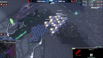 Move du jour SC2 #2  Fungal of the year