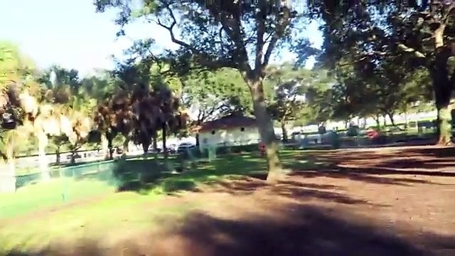 DOG RUNS INTO DOOR! (01.11.16 - Day 2448) (FULL HD)