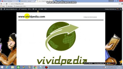 Best Twitter Social Plugin for Wordpress website