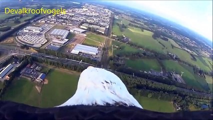 Красивый полёт орла с камерой на спине