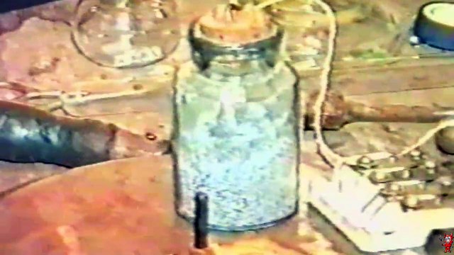 Волки по партии