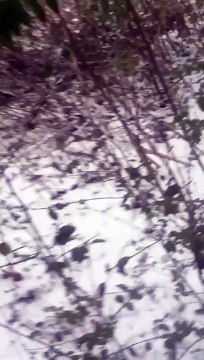 Guy Doesn’t Listen to His Friend When Shooting Sawed Off Shotgun