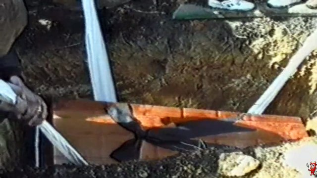 Дело Вэпса (Вся бандитская власть)