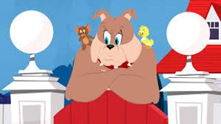 Tom and Jerry Cartoon for kid 2016 Best Firend Forever EP8