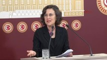 Hdp Milletvekili Filiz Kerestecioğlu Basın Açıklamasında Konuştu-2