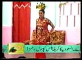 New Latest Pakistani Actess Hot Stage Mujra Dance 2015-Girlsscandals