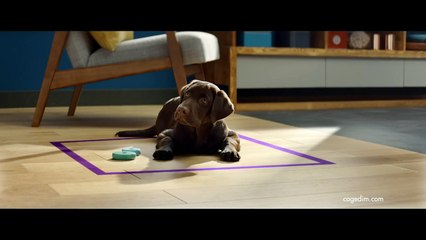 Babel pour Altarea Cogedim - « Cogedim, vous verrez la différence » - janvier 2016