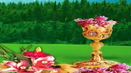 GÖRÜNTÜLÜ KURAN - KAF SURESİ