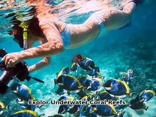 Sharm El Sheikh excutrsions