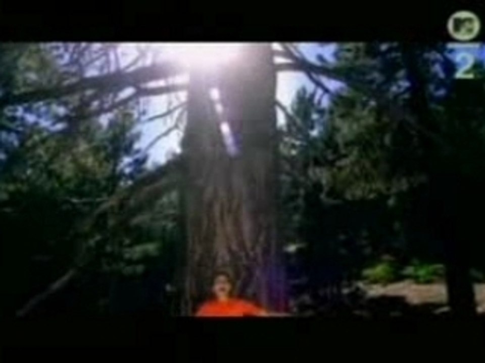 Nelly Furtado - I'm Like A Bird